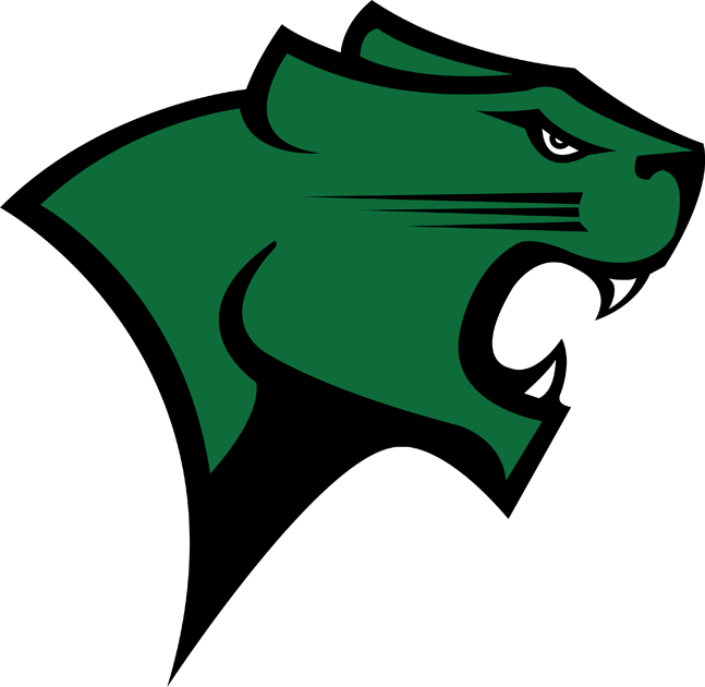 Chicago State Cougars 2009-Pres Primary Logo iron on transfers for T-shirts
